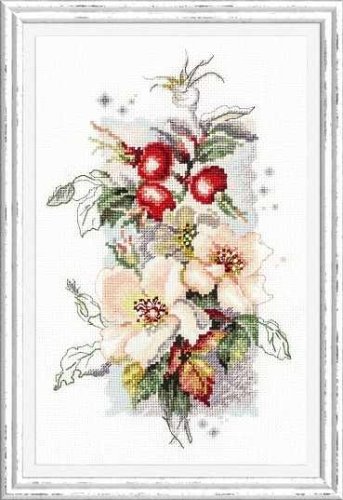 (image for) Rosa Canina